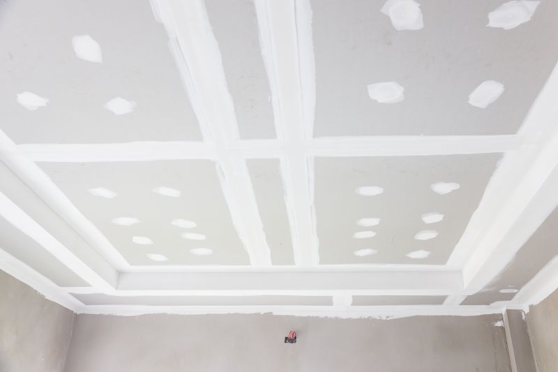 Ceiling Drywall Repair in Alpharetta, GA