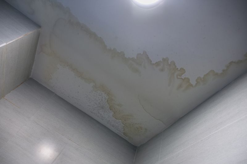 Ceiling Water Damage Repair in Kansas City, KS