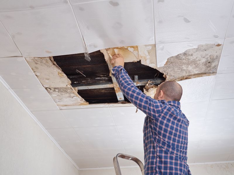 Ceiling Water Damage Repair in Conroe, TX